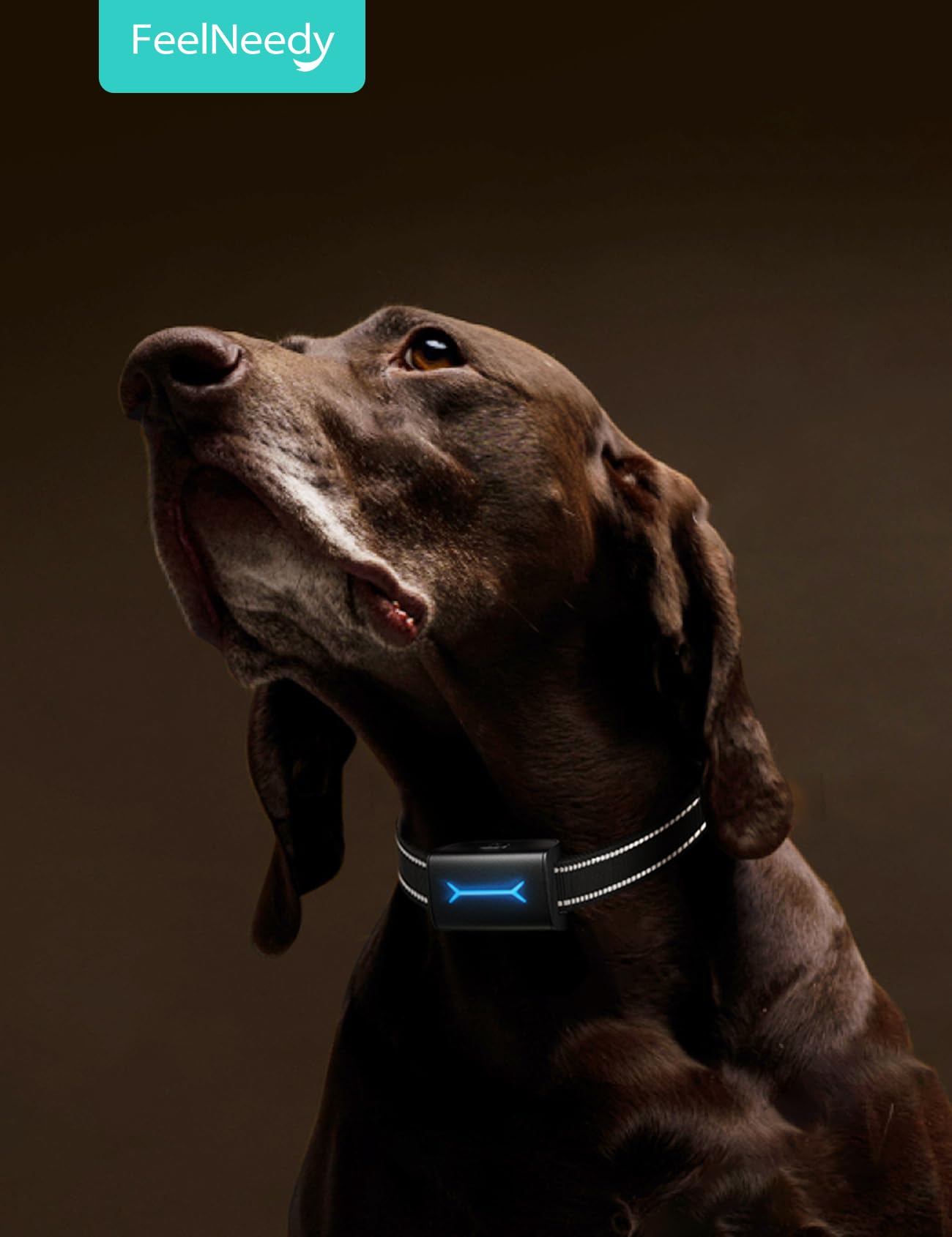 FEELNEEDY Dog Training Collar for 2 Dogs