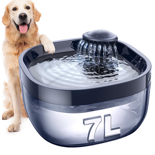 Pet Water Fountain – feelneedy