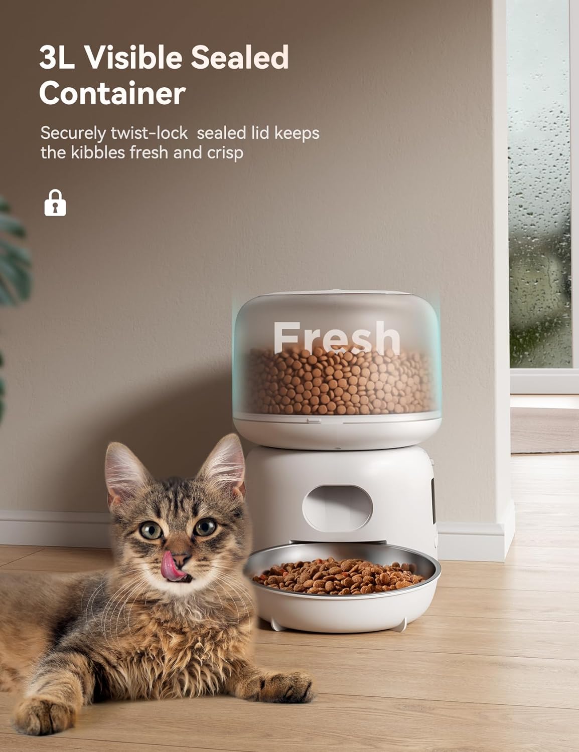 FEELNEEDY 3L Automatic Cat Feeder WiFi Connected White feelneedy