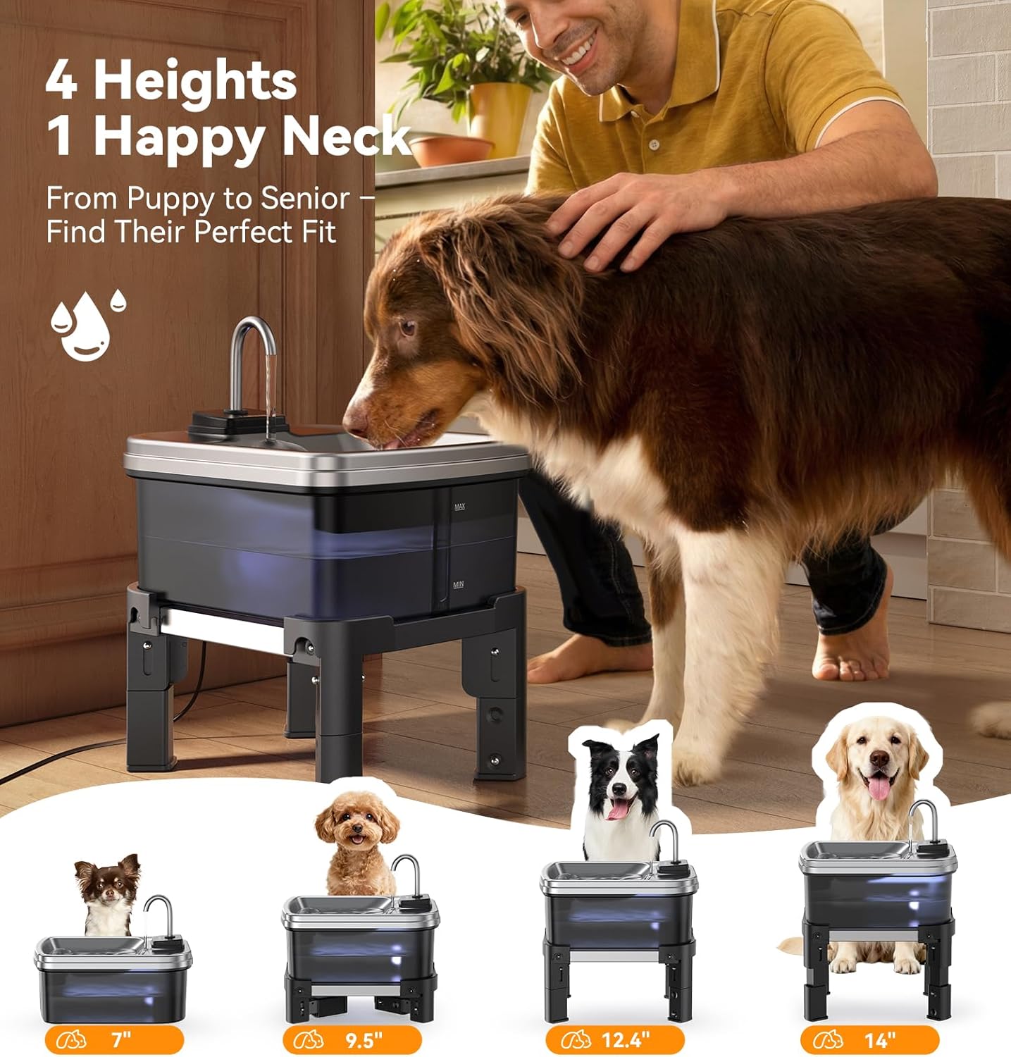 FEELNEEDY  FN-W25 9L/2.38Gal Elevated Dog Water Fountain with 4-Height Adjustable Stand, FeelNeedy Large Pet Water Dispenser with Durable Ultra-Quiet Pump & Stainless Steel Tray, Water Bowl for Large Dogs Indoor