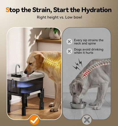 FEELNEEDY  FN-W25 9L/2.38Gal Elevated Dog Water Fountain with 4-Height Adjustable Stand, FeelNeedy Large Pet Water Dispenser with Durable Ultra-Quiet Pump & Stainless Steel Tray, Water Bowl for Large Dogs Indoor