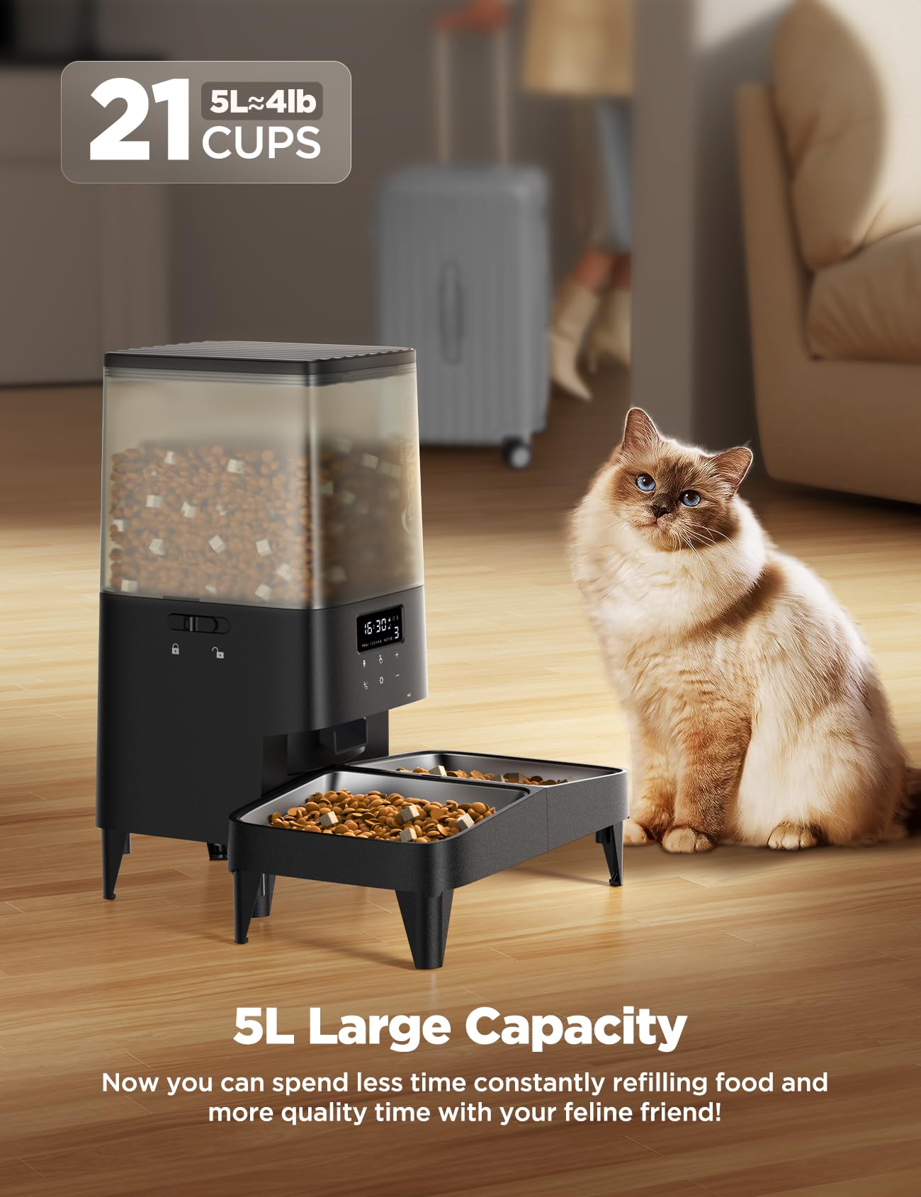 FEELNEEDY 5L Automatic Cat Feeder for 2 Cats